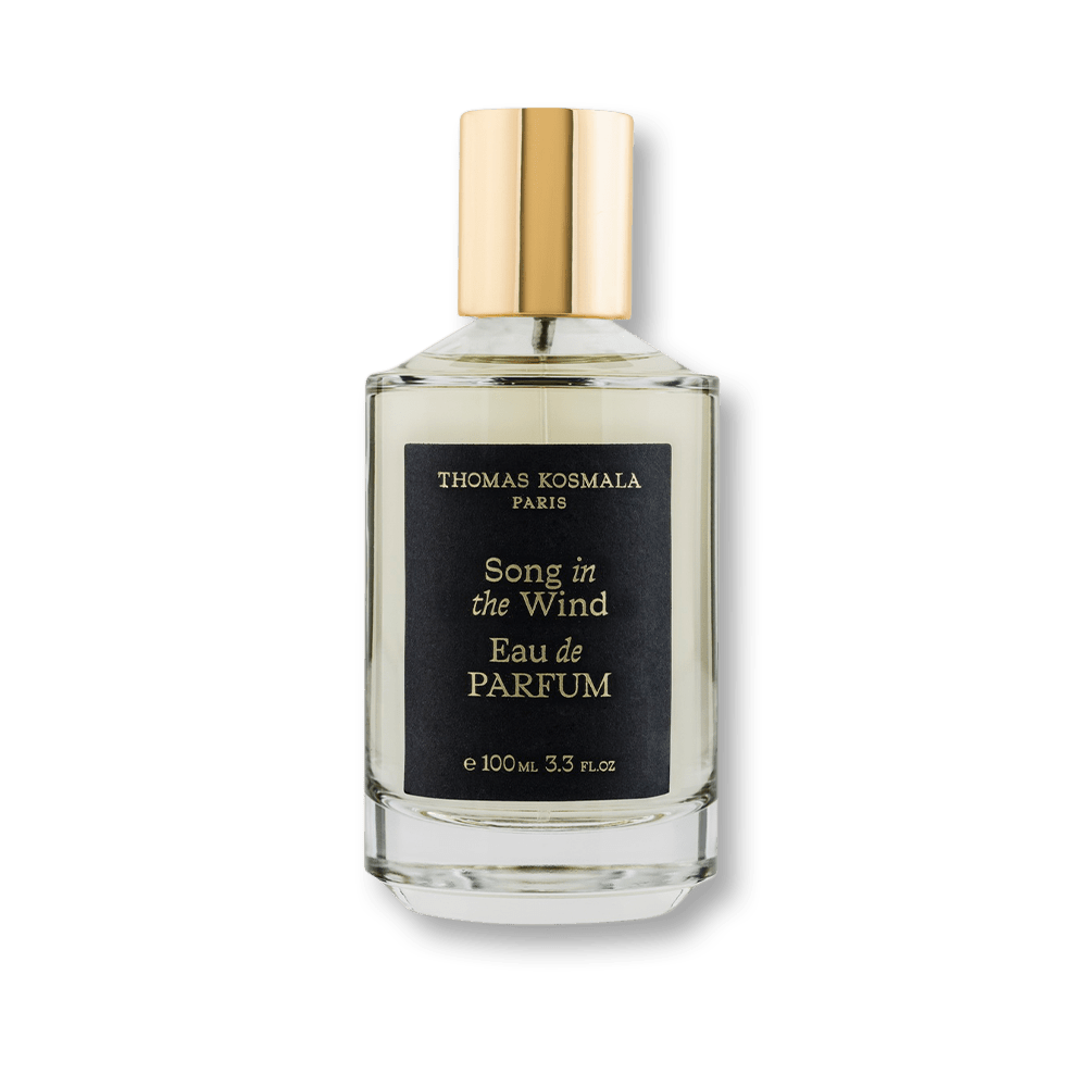 Thomas Kosmala Song In The Wind EDP