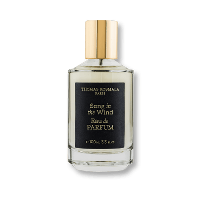 Thomas Kosmala Song In The Wind EDP
